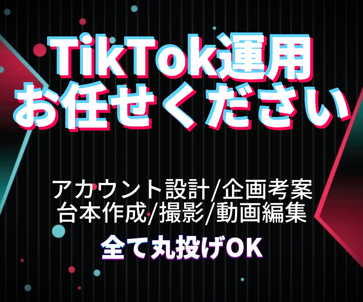 現役クリエイターがTikTok1ヶ月運用代行します ～バズるきっかけをあなたに～　1ヶ月間のサポートを提供します イメージ1