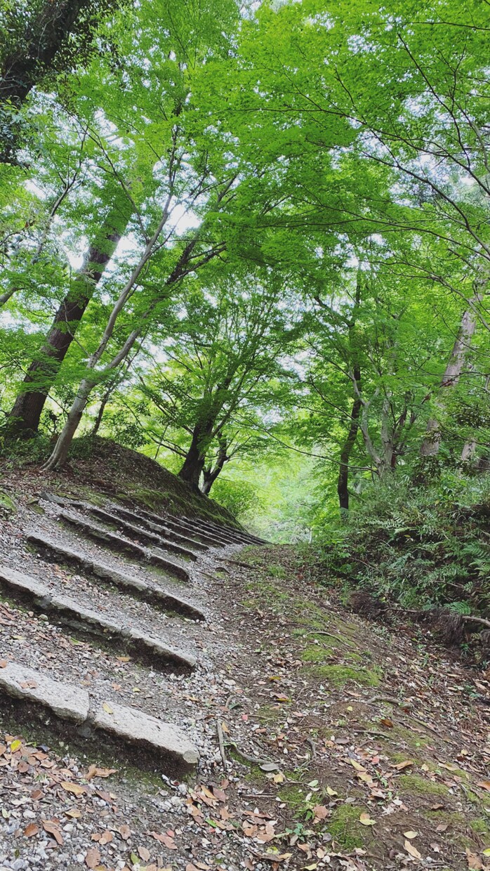 今のお気持ち受け止めます 私の声を聞いて欲しい♡一緒に色んなお話しましょう！ イメージ1