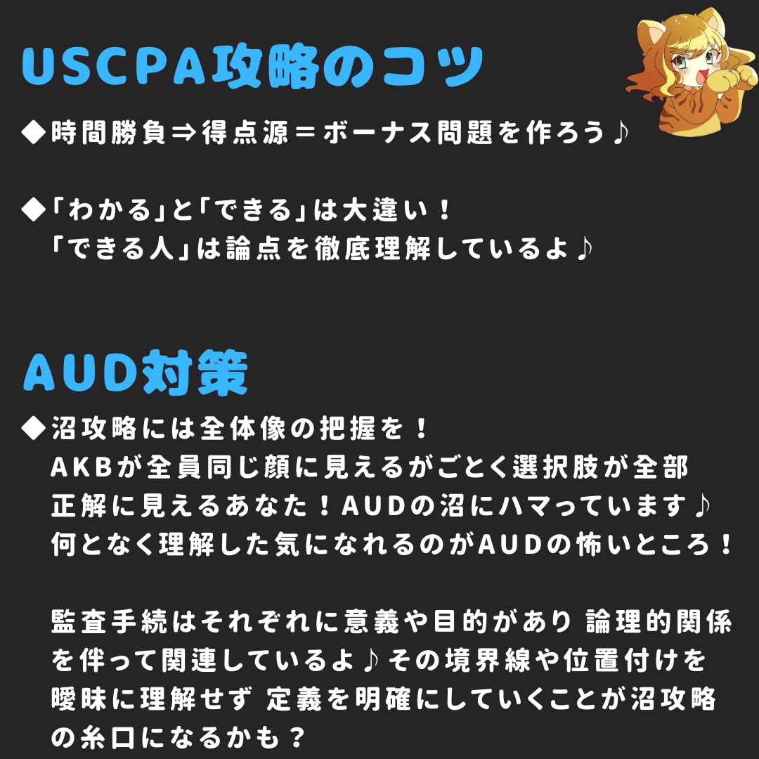 USCPA合格者がAUD攻略ノートを販売します 7ヶ月でUSCPA全科目合格のノウハウを凝縮した完全攻略本 イメージ2