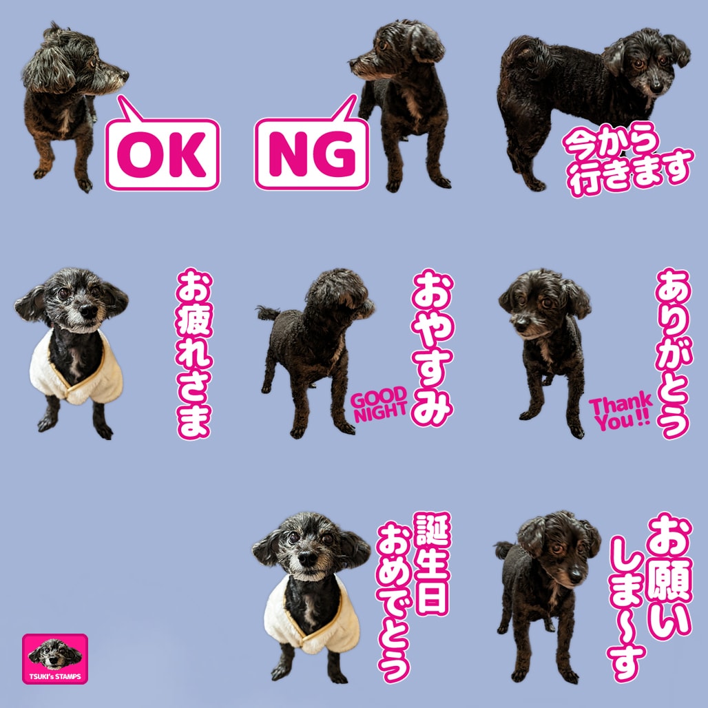ペットや人物の写真でLINEスタンプを作ります オシャレ系でも可愛い系でもご要望に合うLINEスタンプ制作！ イメージ5