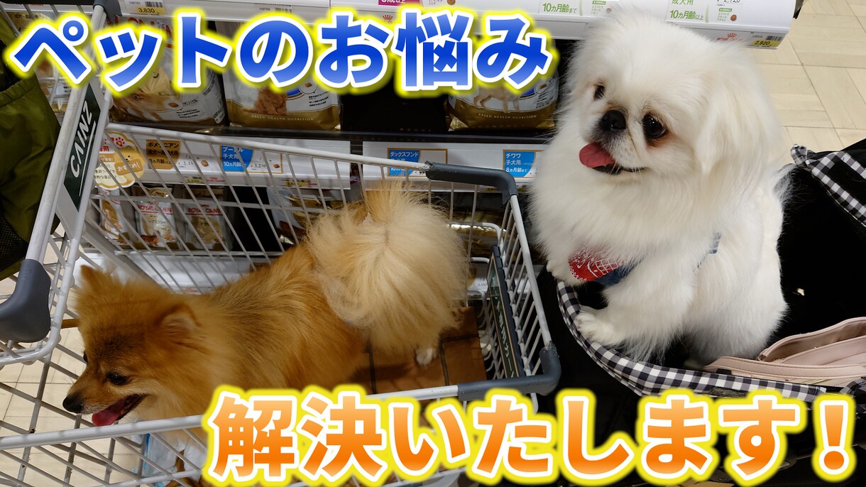 ペットのお悩みペット業界のお悩み解決します ペットちゃんのお悩みペット業界の方々のご相談ください！ イメージ1