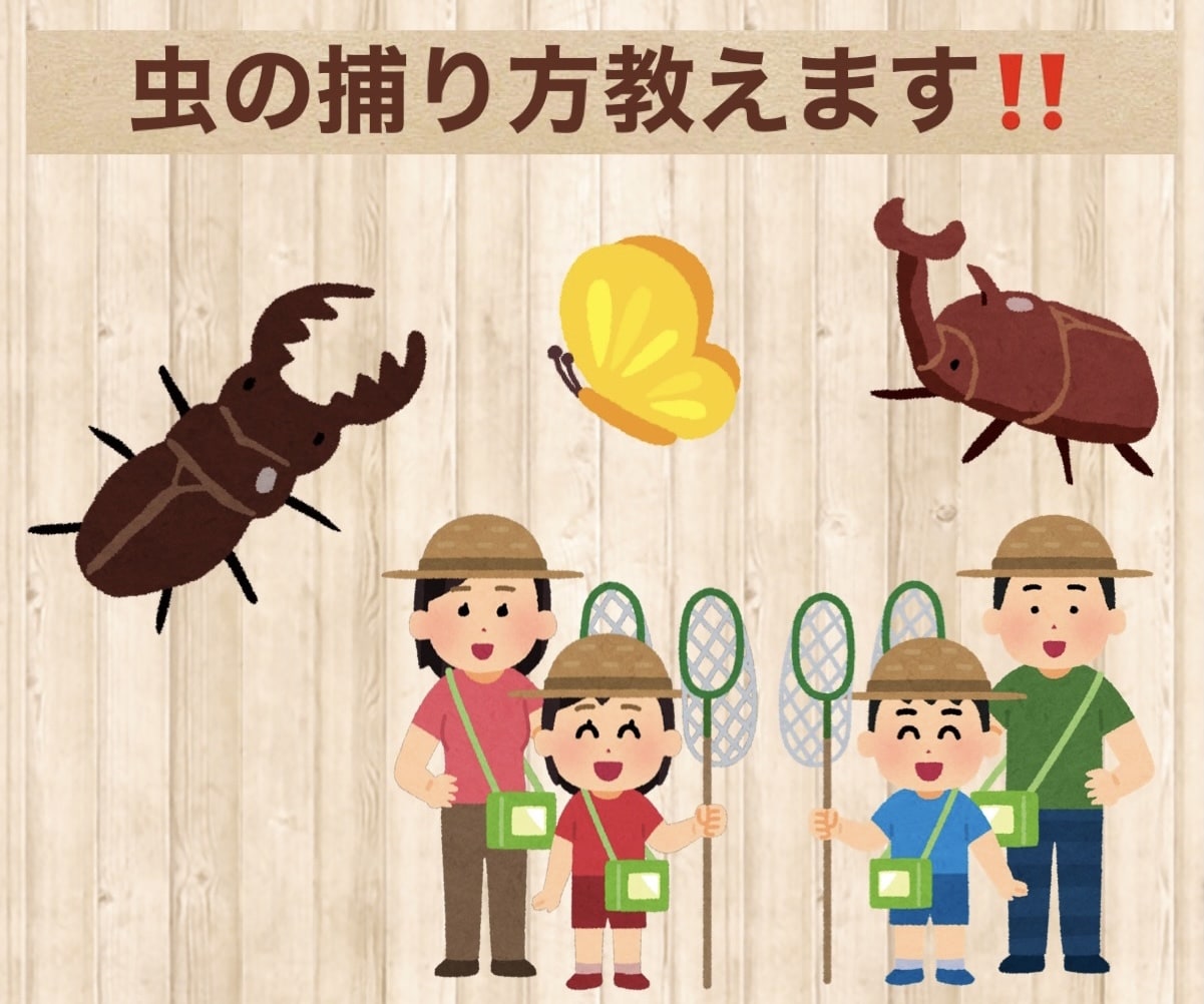 虫の捕り方教えます 夏休みに失敗せず昆虫採取したい方•子供を喜ばせたい方へ！ イメージ1