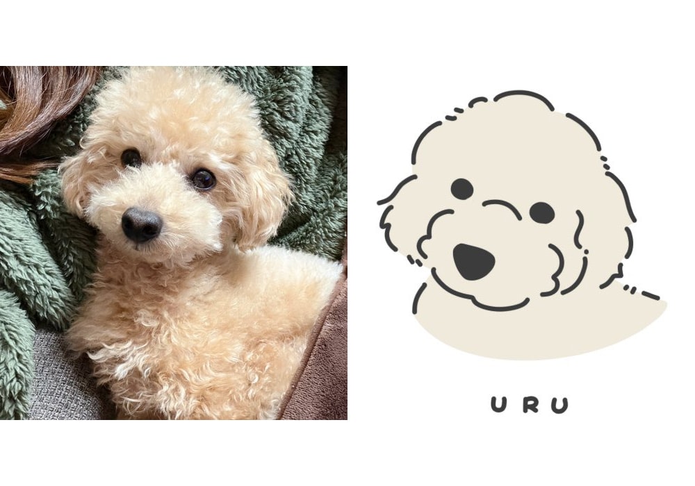 愛犬のゆるかわ似顔絵描きます お写真からゆるかわいい似顔絵をお描きします。 イメージ3