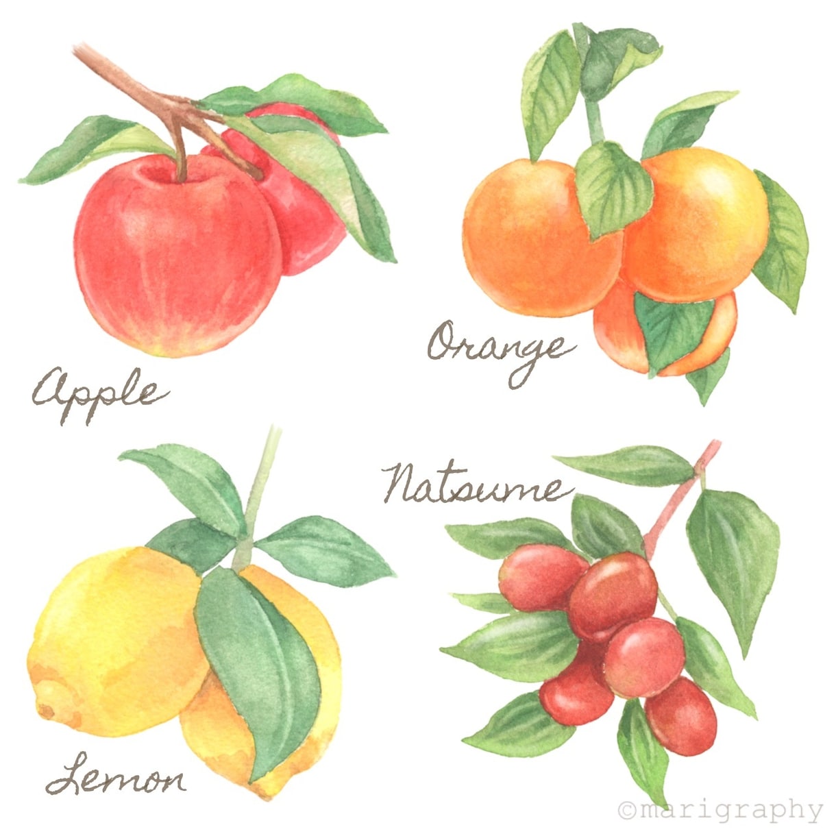 水彩画で野菜・果物などの食べ物イラストを描きます 〜丁寧なヒアリング〜 温かく優しいタッチが得意です♪ イメージ5
