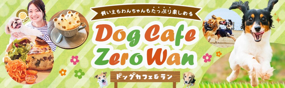 ノーコードのホームページを作ります ヘッダーで目を引くホームページを作成します イメージ1