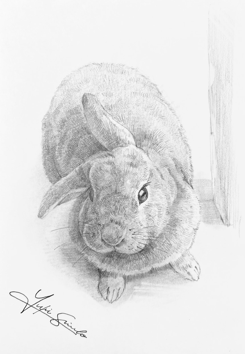 ペットの似顔絵を手描き原画で制作します お写真をもとに、ハガキサイズのペット肖像画を制作いたします。 イメージ5
