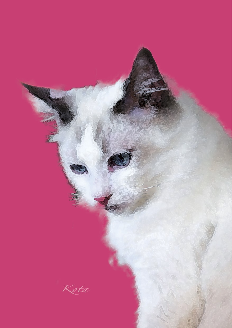 肖像画風画像作成ます 大切なペット猫ちゃんの写真を飾りたい人へ イメージ4