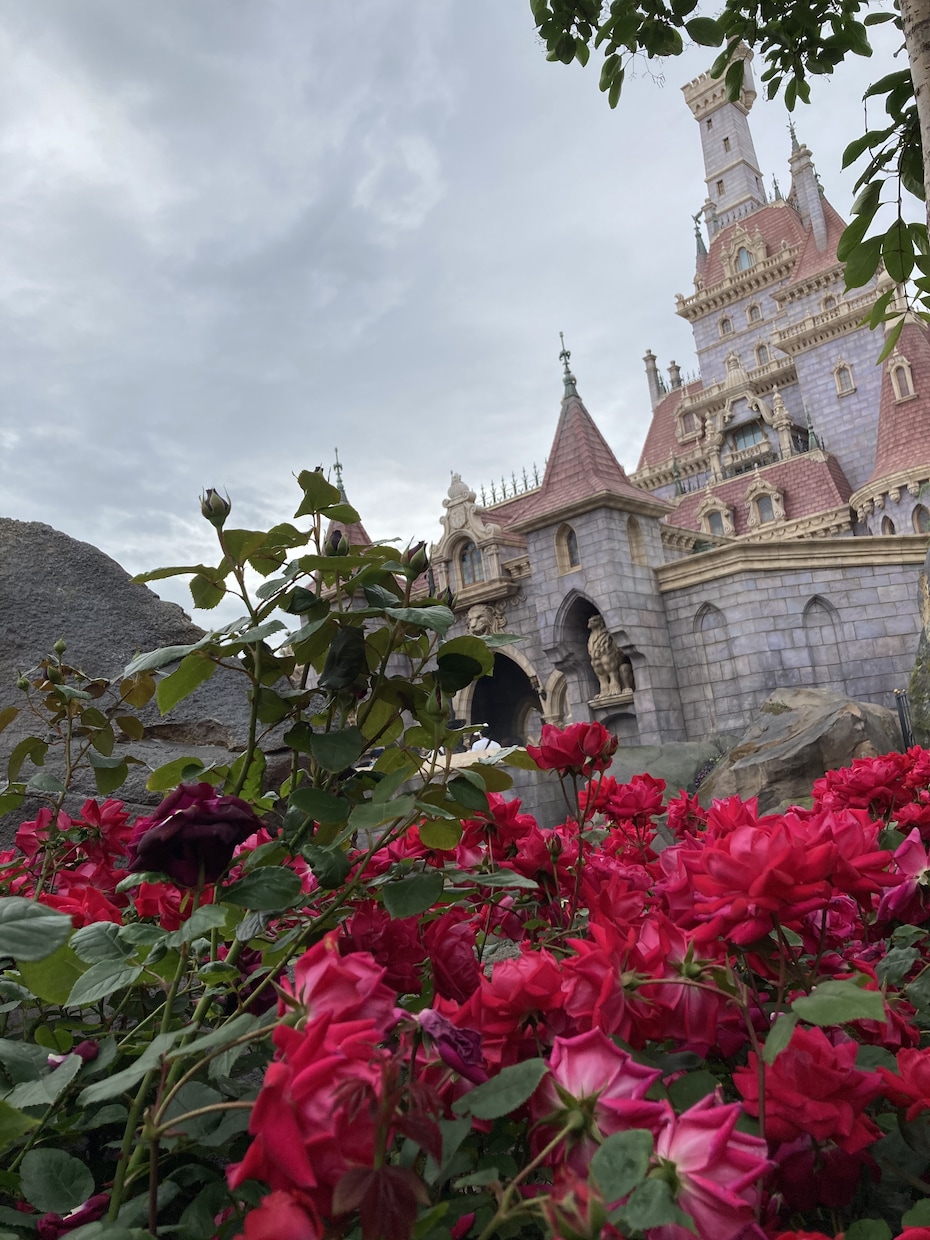 東京ディズニーリゾートでの行動計画を提案します 東京ディズニーリゾートで楽しく過ごせるサポートを致します。 イメージ5