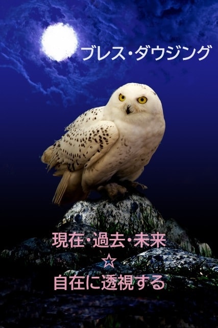 誰でも簡単にできる体を使って透視する手法を教えます ブレス・ダウジング☆知りたい事すぐに答えがわかる2秒透視！ イメージ1