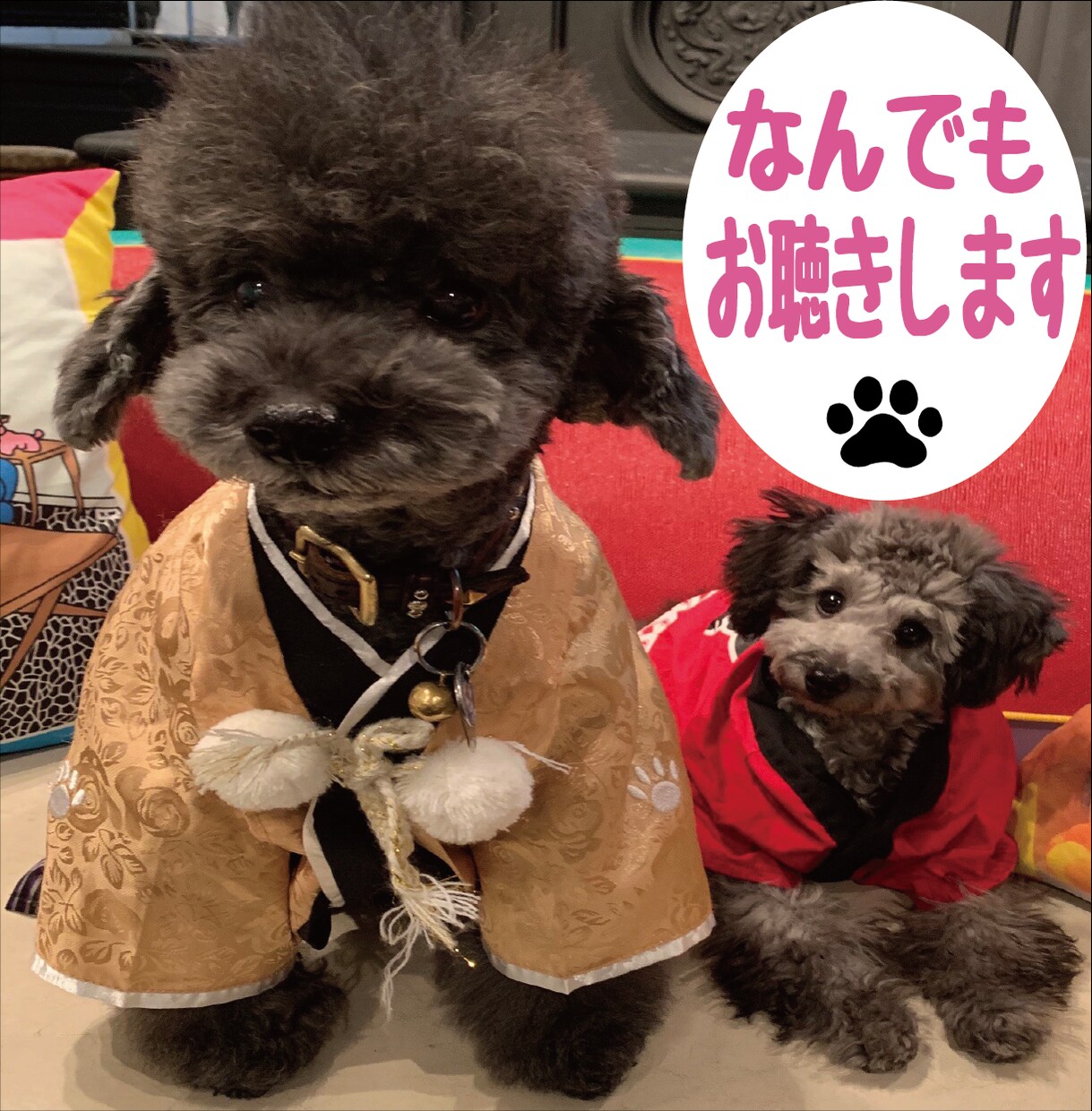 どんな内容でも優しくお聴きします 何気ない話から深刻な悩みまであなたの味方になり寄り添います イメージ1