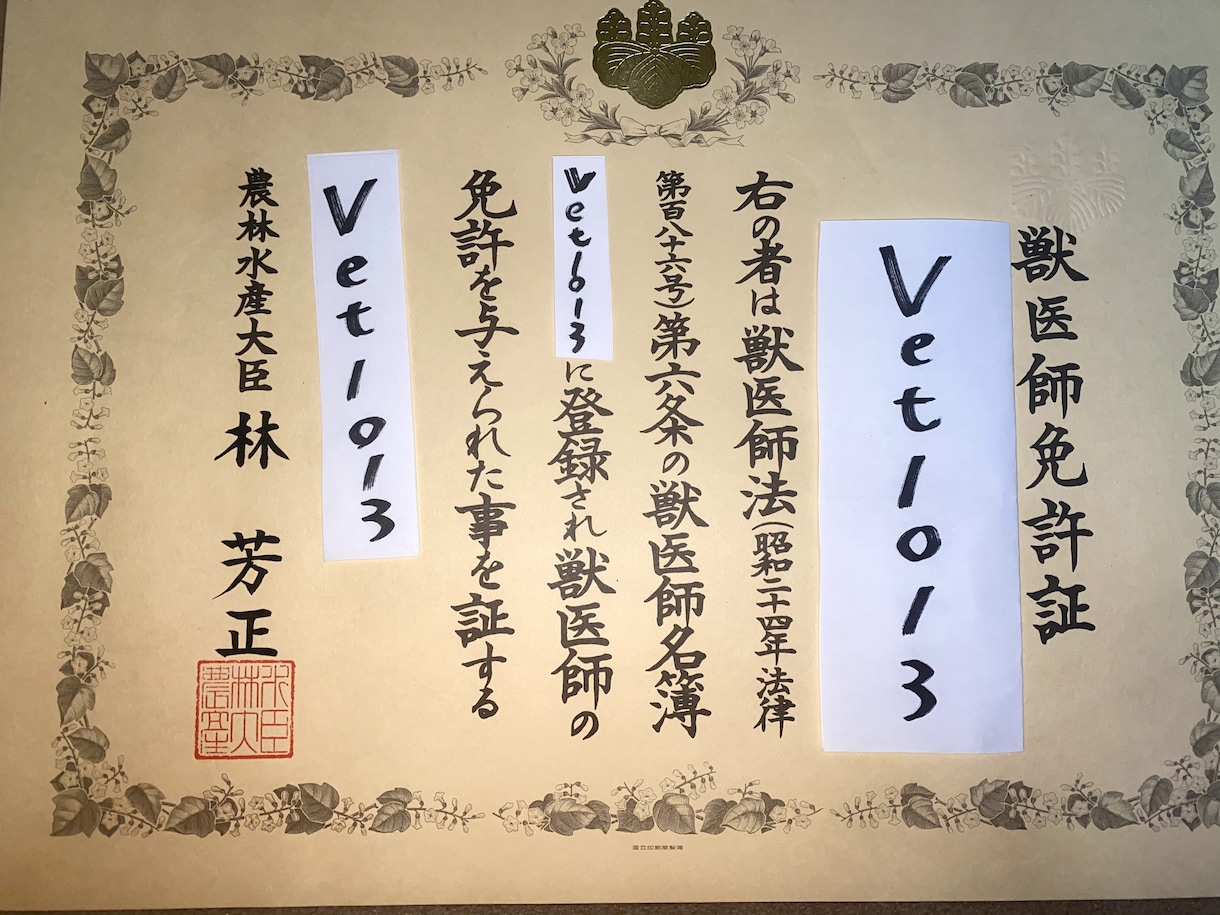 💬ココナラ｜予約受付中       犬・猫のワクチン、ノミダニ、フィラリアを解説します   犬・猫専門獣医師そらん  
                …