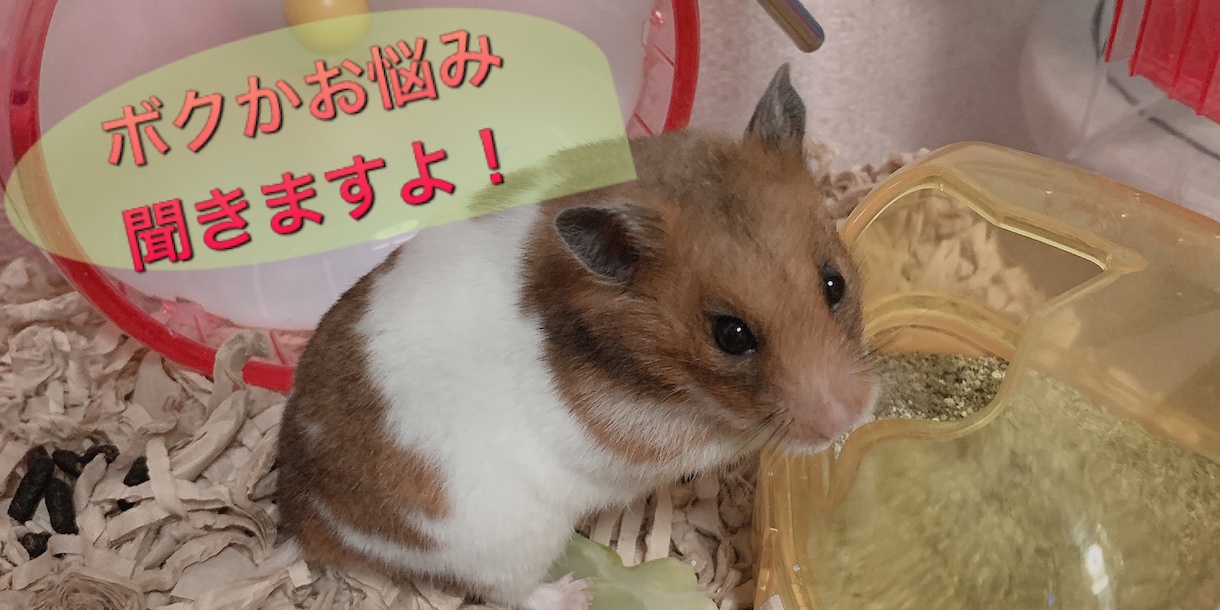 心に悩みを抱えている方、相談にのります いじめられていても、何かかしらの希望はあります！ イメージ1