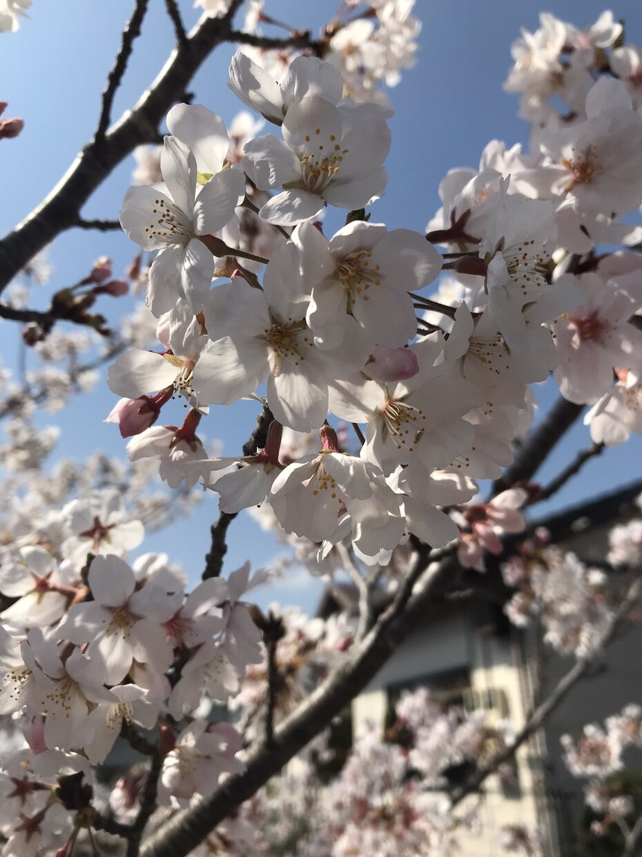 どんなお話しもお聞きしますます 「迷惑かな」「誰にも話せない」〜気軽な気持ちで話してみて〜 イメージ4