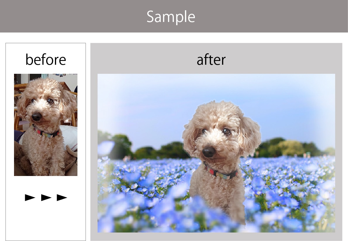 ペットの写真を加工し、思い出写真作成します 愛するペットのお気に入り写真を加工してより素敵にします イメージ1