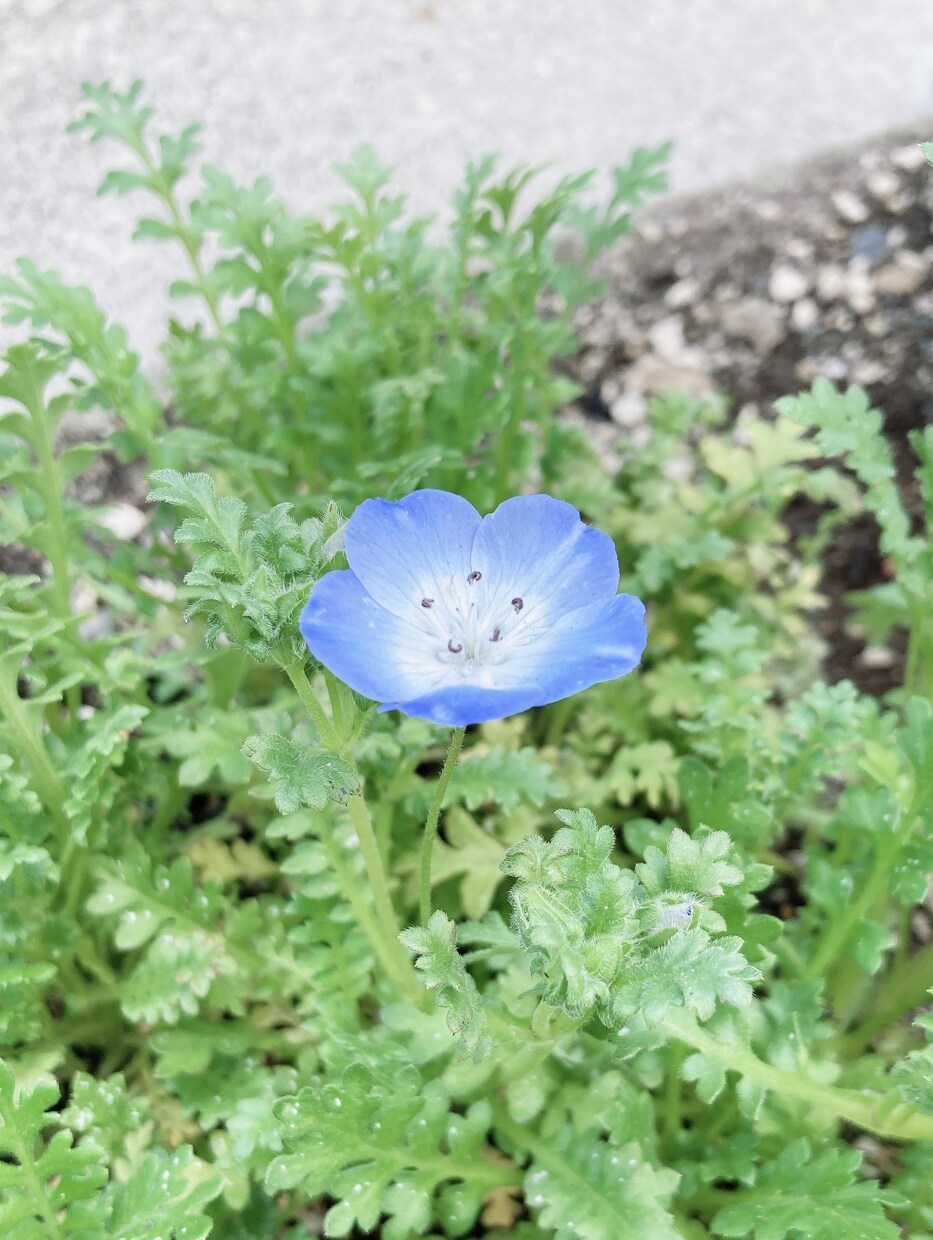 話してすっきり。なんでも聞きます 初めての方も気楽に来てくださいね♪(^^) イメージ2