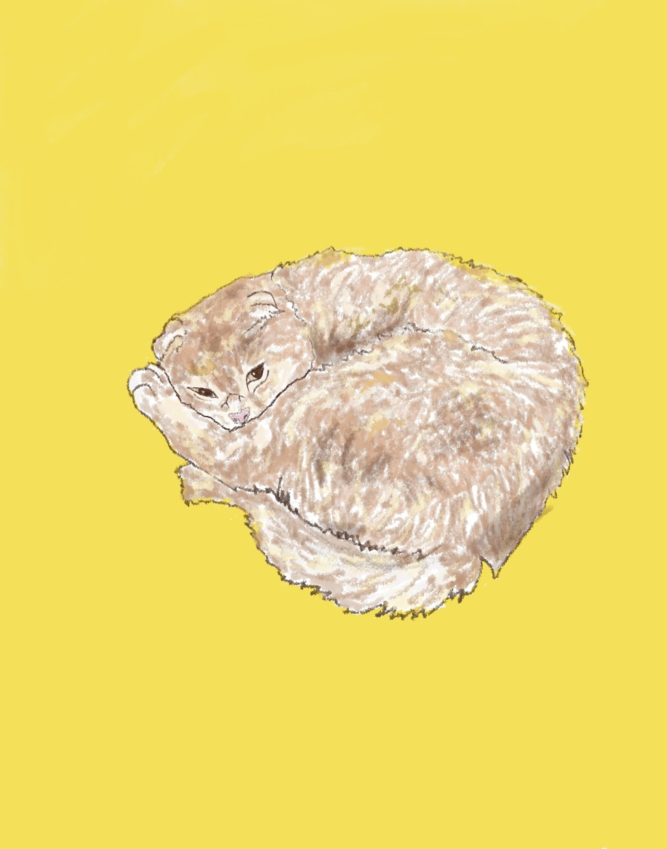 あなたのペット描きます やわらかいタッチのデジタルイラストをお安く提供致します！！ イメージ2