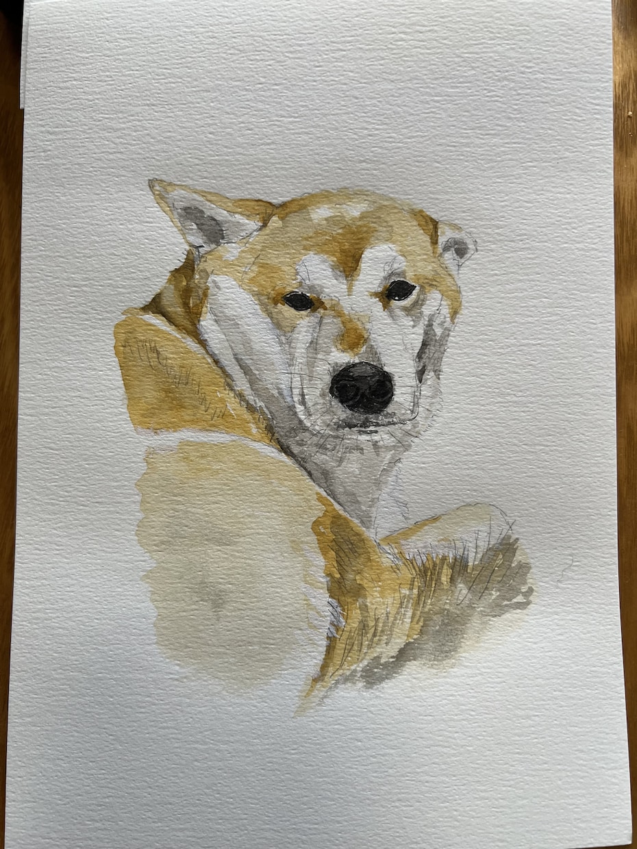 犬や猫の絵を描きます 画像からえんぴつや顔彩で絵を描きます。 イメージ8