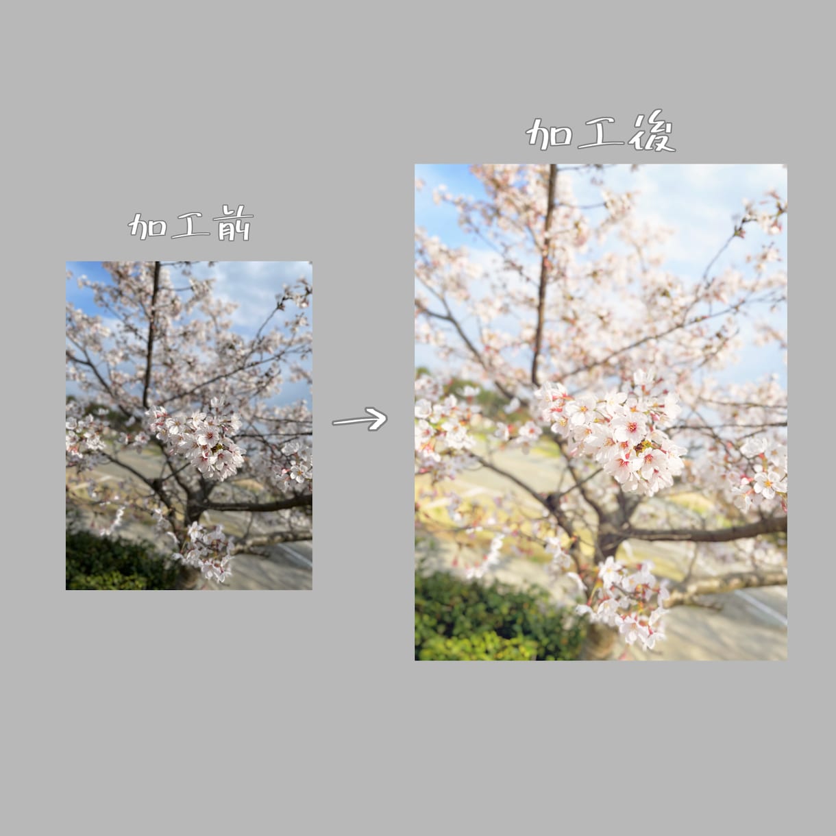 最大10枚◎ 大切なお写真綺麗にします あなたの大切なお写真を綺麗に仕上げます。 イメージ5