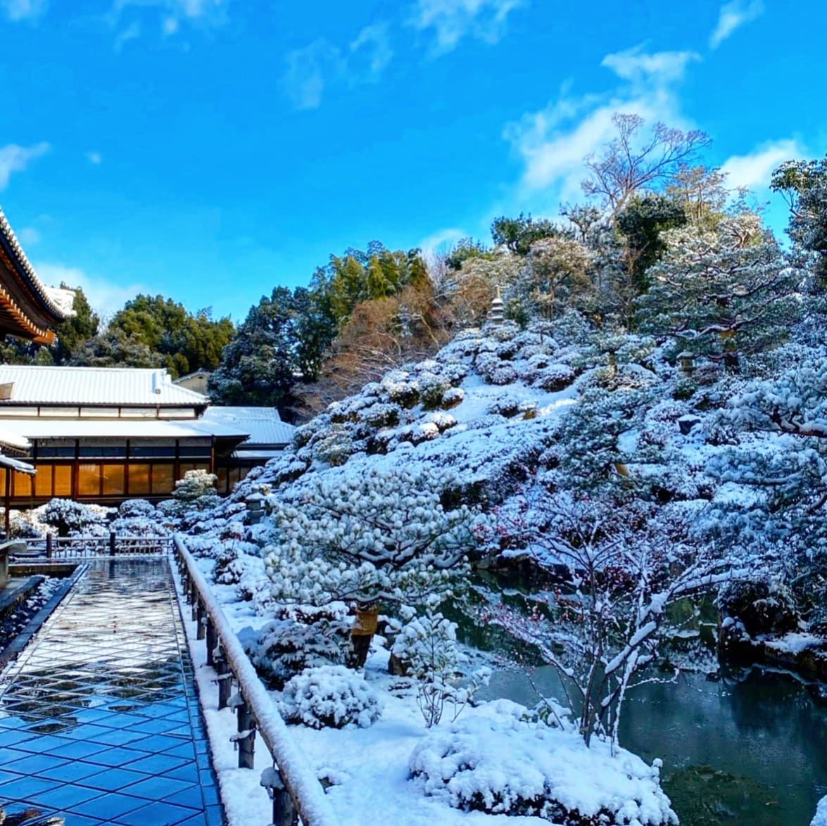京都の四季の写真提供しています 京都の何気ない風景や四季の風景写真 イメージ10