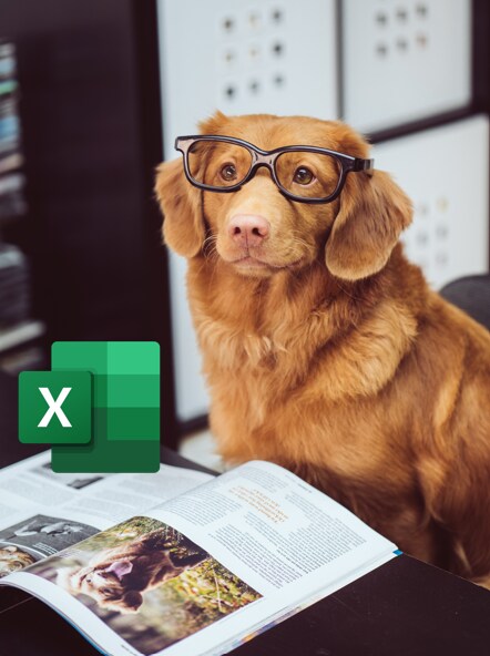 エクセル/Excel VBA（マクロ）教えます コードのお悩みやこれからVBAを作りたい方はご相談ください イメージ1