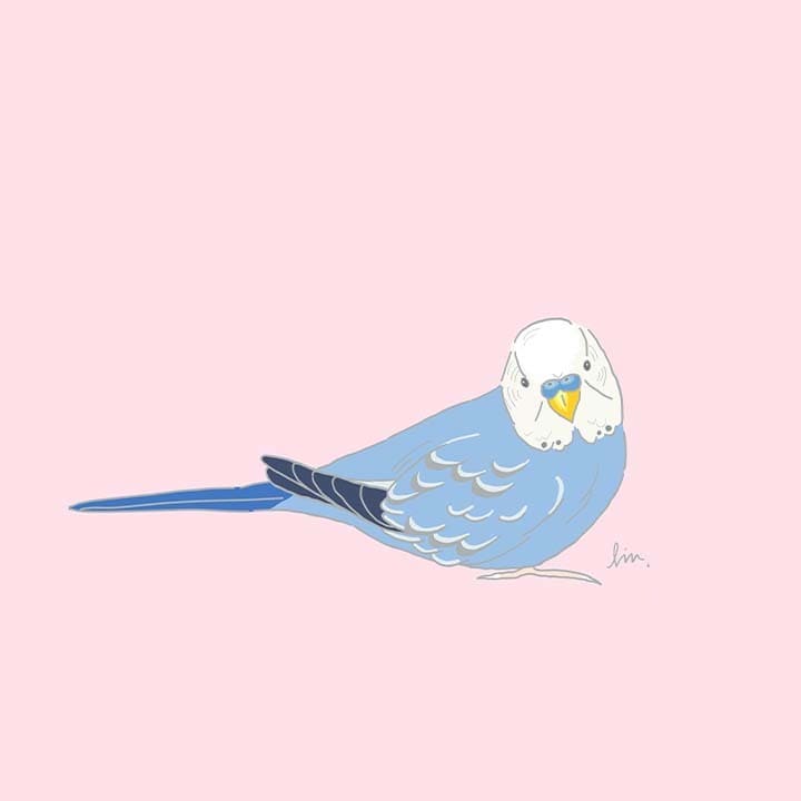 商用可☆鳥さんのおしゃれなイラストを2枚描きます SNSやブログのアイコンやプレゼントなどにどうぞ♪ イメージ8