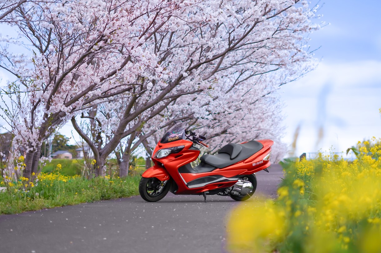 皆様の愛車のお写真を更に素敵にします 皆様の愛車を更にかっこよく引き立たせるレタッチ！ イメージ3