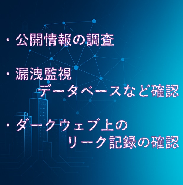 メールアドレスの漏洩情報を調べます セキュリティの専門家による、メールアドレス漏洩調査サービス イメージ3
