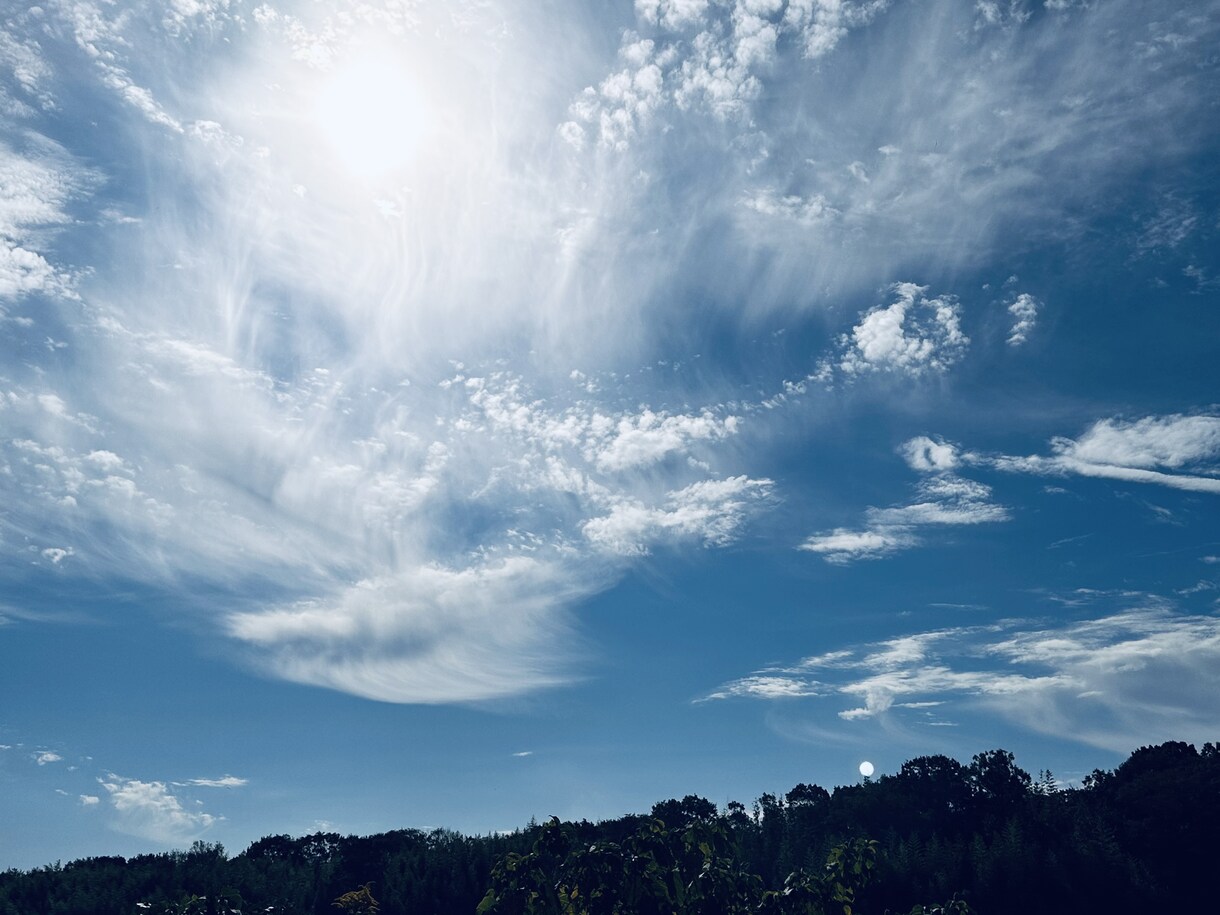 スマホで撮影した、風景写真お売りします。ます 綺麗に撮れた写真を他で活かせてください。 イメージ8