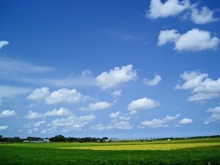 どんなお話でもご相談にのります ただ話を聞いて欲しい人癒されたい、褒められたい人 イメージ2