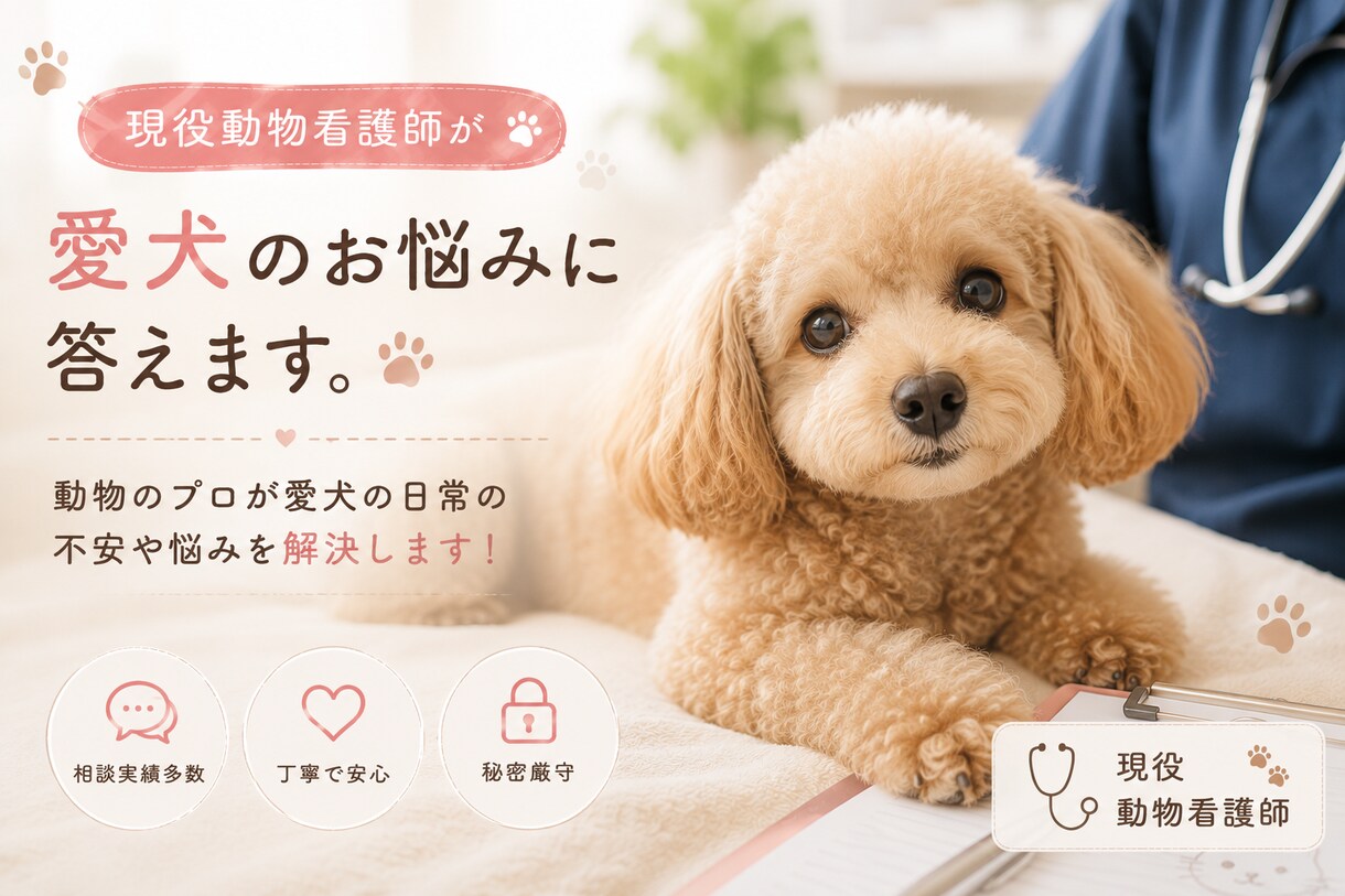 現役動物看護師が愛犬のお悩みに答えます 動物のプロが愛犬の日常の不安や悩みを解決します！ イメージ1