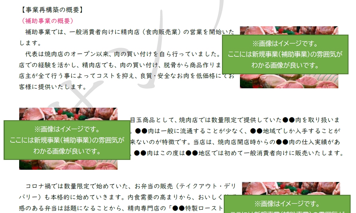 事業再構築補助金の事業計画書記載例をご提供します 【こちらは記載例のpdfファイルのみです】 イメージ5