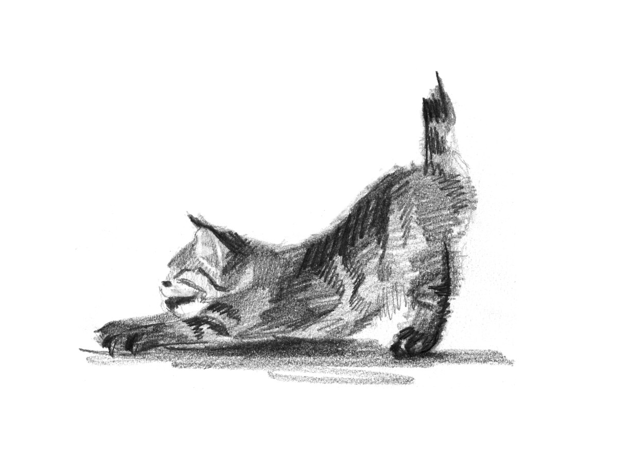 美大出身者がかわいいペットの鉛筆画を描きます ペットのお誕生日や記念に、オリジナルの絵を作成したい方へ イメージ2