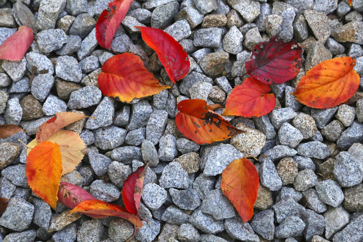 人物写真が得意でいろいろな撮影に対応します 人物撮影が得意で雑誌・新聞などで４０年以上の経験があります イメージ5