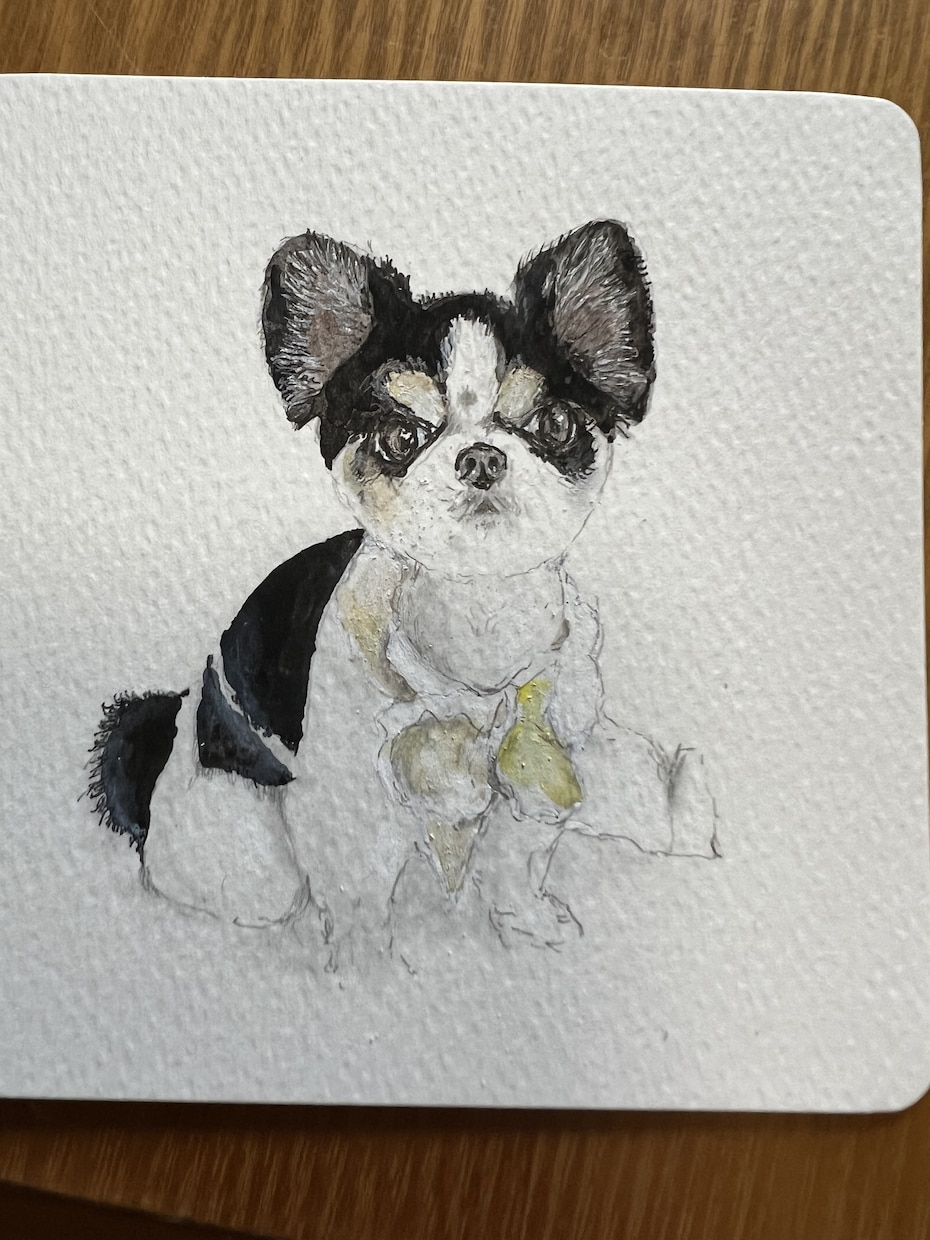 犬や猫の絵を描きます 画像からえんぴつや顔彩で絵を描きます。 イメージ2