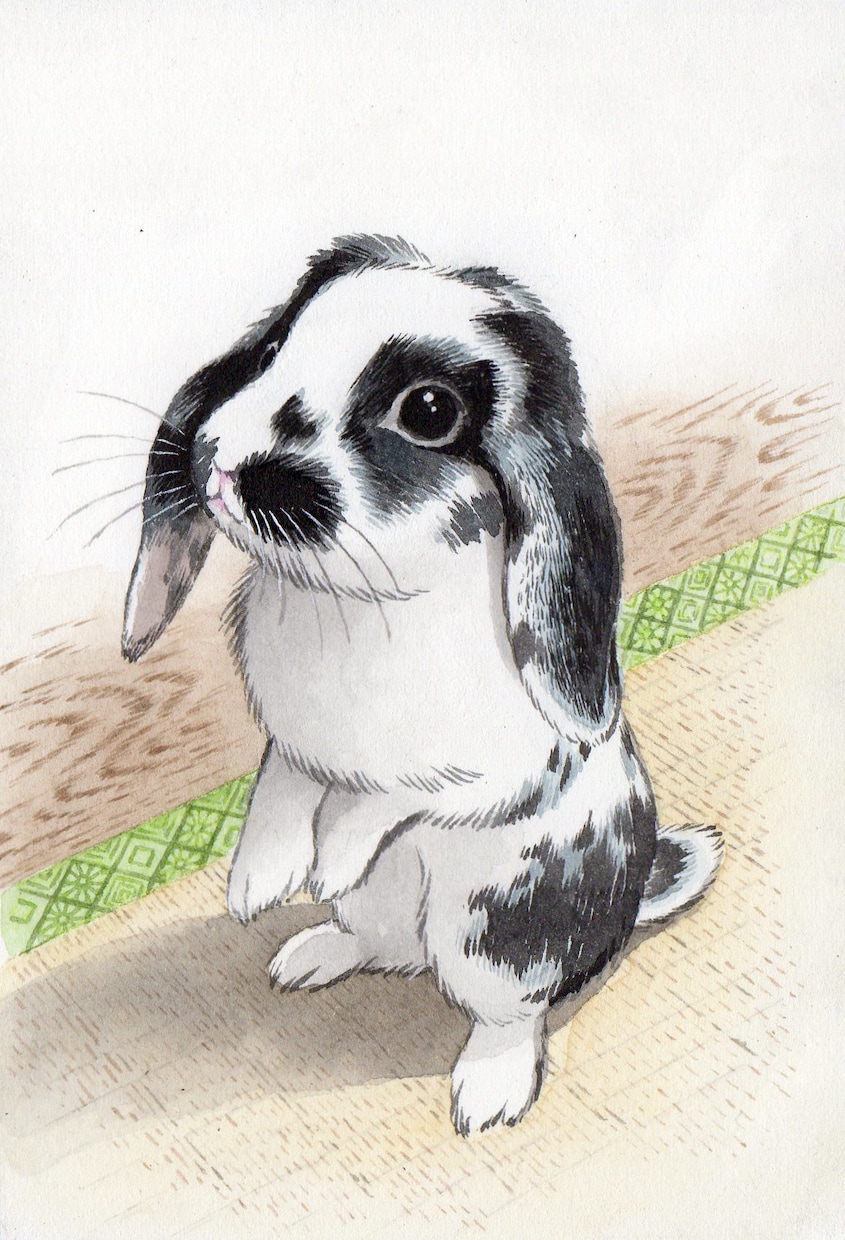 ペットの肖像、リアル似顔絵を原画に描きます 「はがき大」の原画取引のみで、お願いします。 イメージ6
