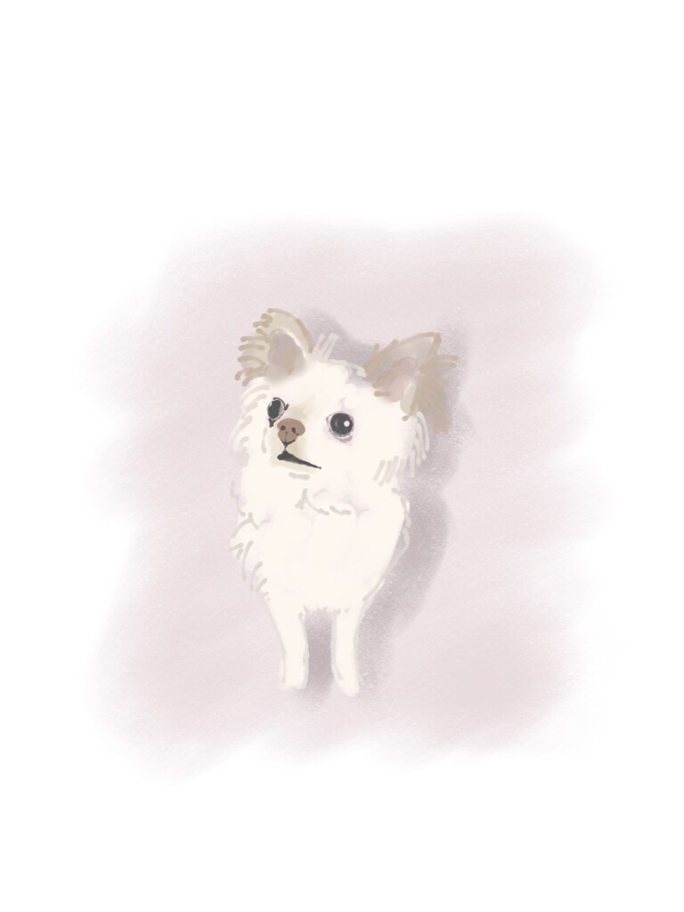 ペット、動物のイラスト描きます 可愛いうちの子描いて！という方へ イメージ3