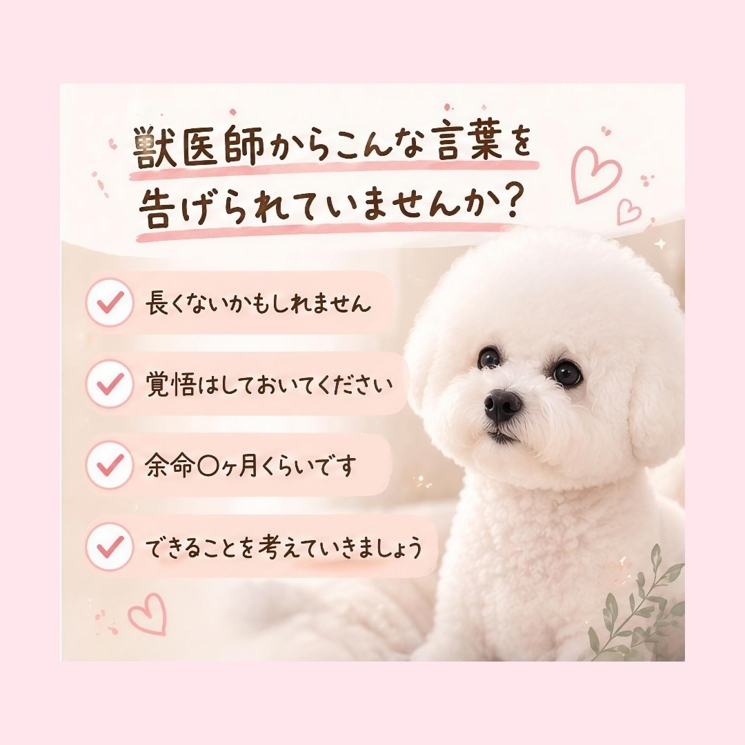 愛犬との限られた時間に寄り添います 残された大切な時間のお気持ちに寄り添います イメージ2