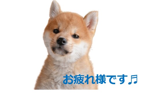 写真からLINEスタンプを作ります 家族や友達と使えるスタンプの作成/お店の商品のスタンプなど イメージ1