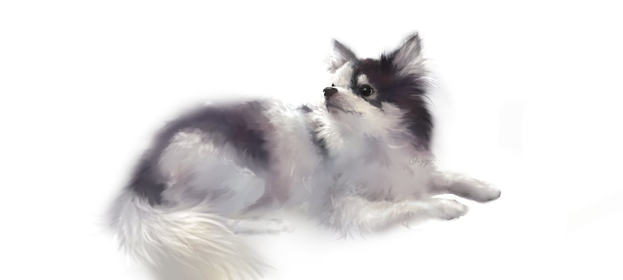 アクアリウム、犬、猫、爬虫類イラスト作成します 魚、犬、猫ほか爬虫類、両生類、虫（奇蟲ok!）、甲殻類など イメージ6