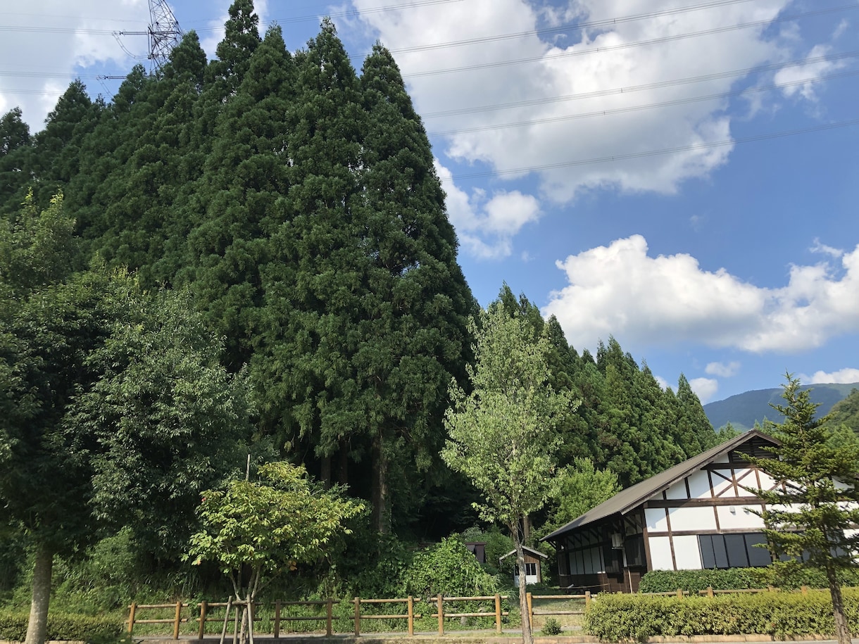 心の疲れをとり心癒やして元気にします 人生経験豊富なあなたの「母さん」となって何でも受け止めます♪ イメージ8
