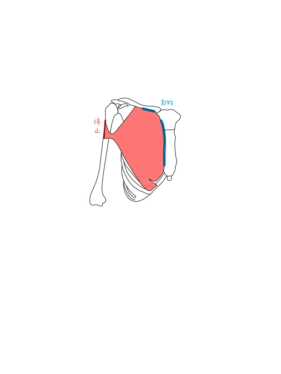 商用可◆柔らかい雰囲気のイラストをお描きします 商用可◆カラフルで柔らかい雰囲気の手書きイラスト制作します。 イメージ10