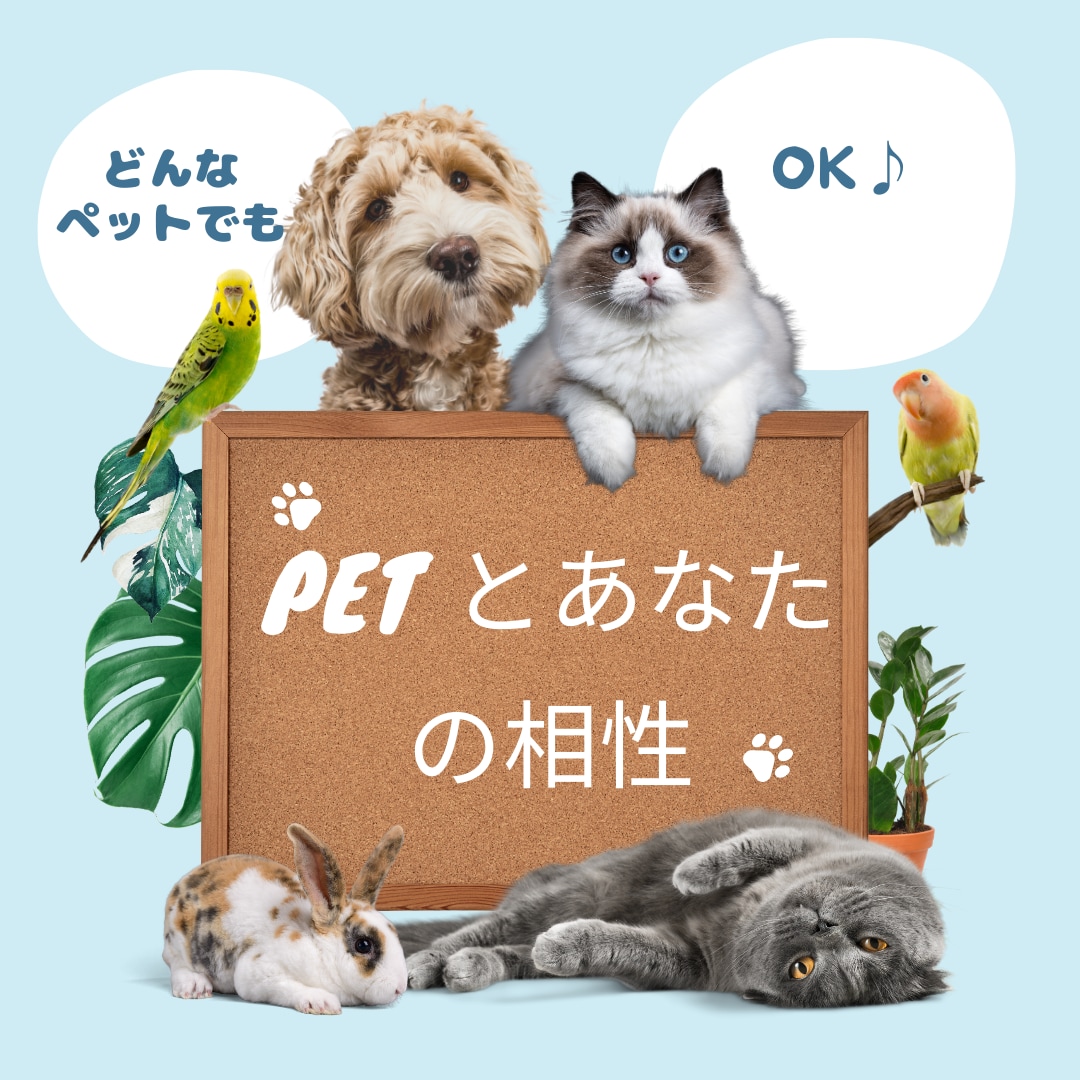 あなたとペットの気になる相性は？ラブ度鑑定します 愛しいペットへ❤癒しのエネルギーヒーリングも付けた特別鑑定 イメージ1