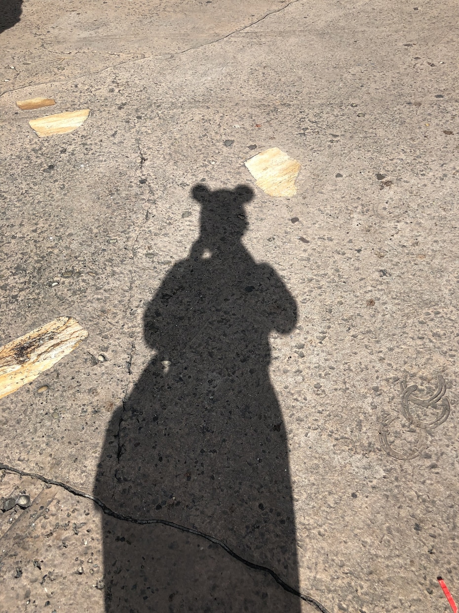 遠方からの東京ディズニーリゾート満喫プラン考えます 遠方組の私だからこそお伝えしたい…！ イメージ7