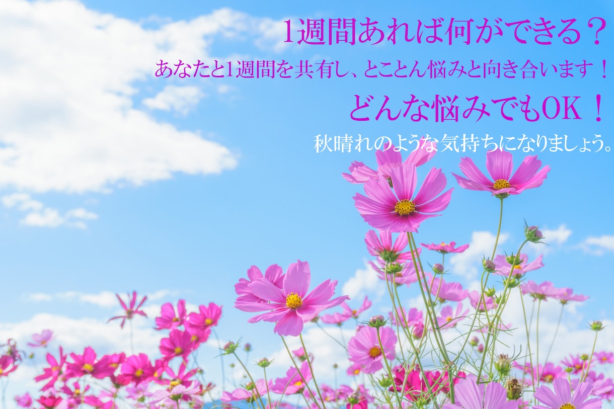 カウンセラーのタマゴの時間を1週間与えます 1週間悩み話し放題！　解決に至るまでとことん付き合います。 イメージ1