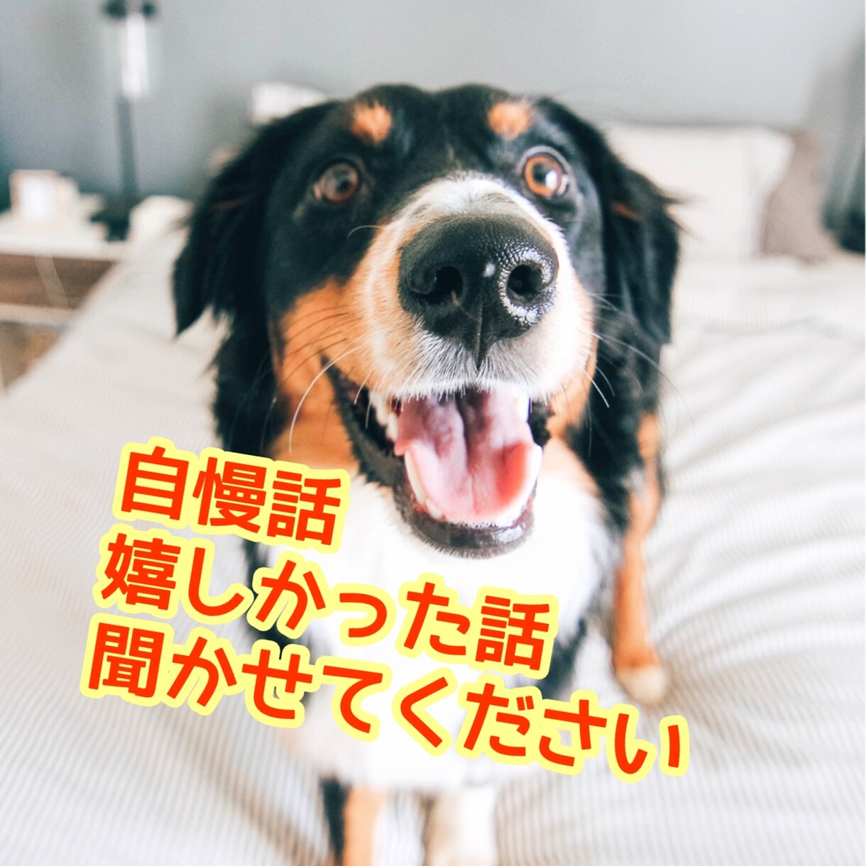 自慢話や成功体験を聞いて一緒に喜びます 周りには意外と話しにくい「嬉しかった話」を聞かせてください！ イメージ1