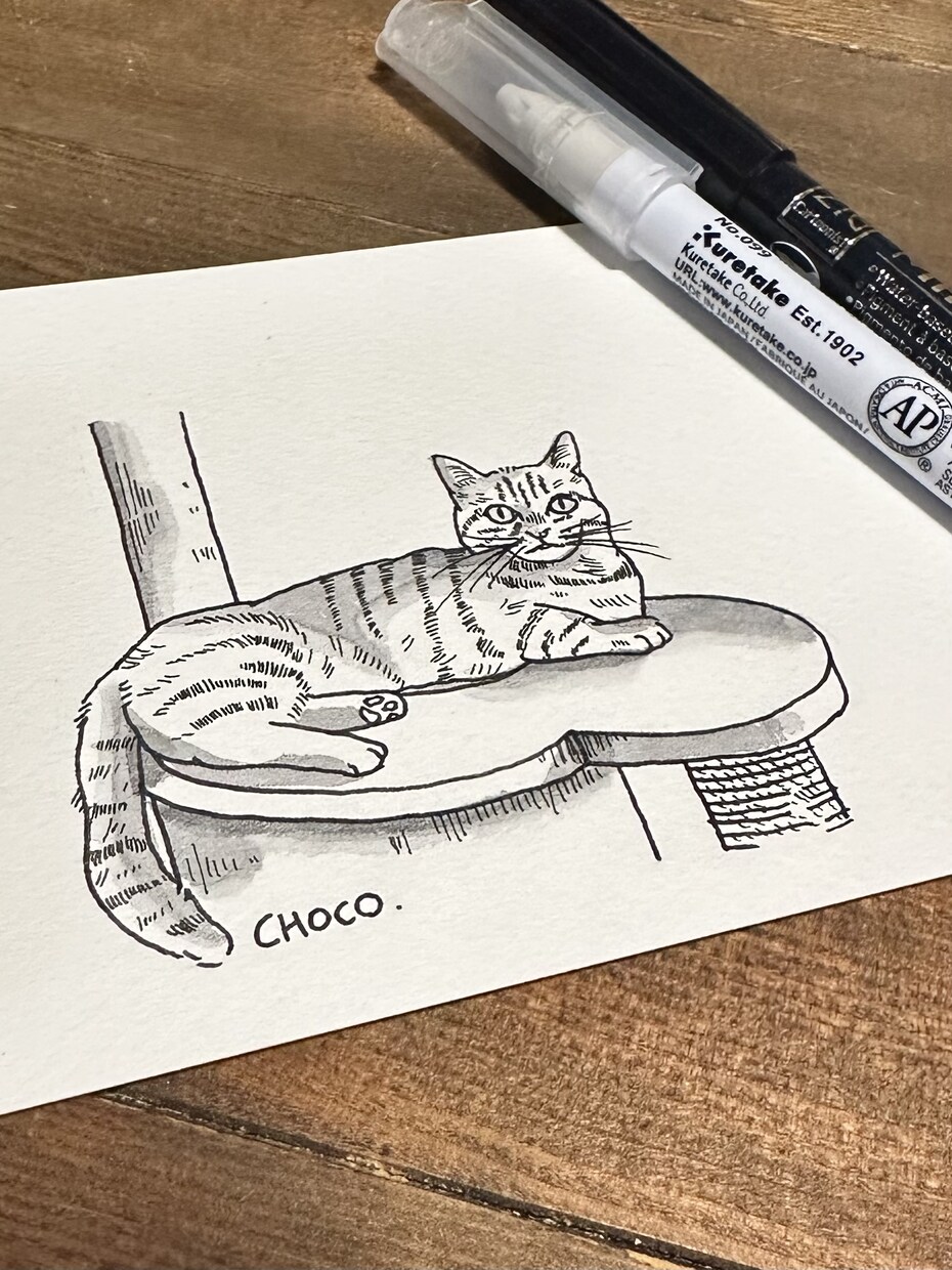 ペットの猫を白黒ペン画でポストカードに描きます アナログのペン画で味のある一枚を〜郵送のみ対応〜 イメージ4