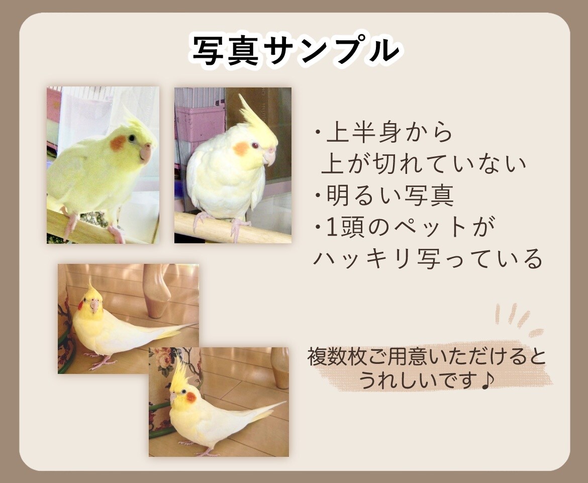 ペットの似顔絵イラスト作成します 手描き感あるリアル調イラスト/愛犬、愛猫、愛鳥さんOK イメージ3