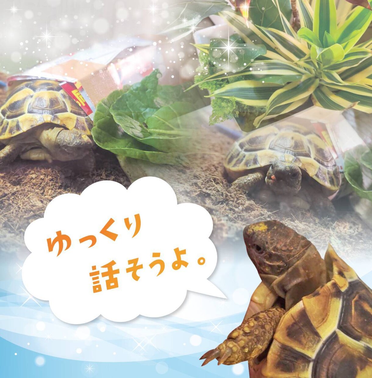 きっと笑顔で電話を切れます 共に成長して行きましょう！何でもお聴かせ下さい！ イメージ1
