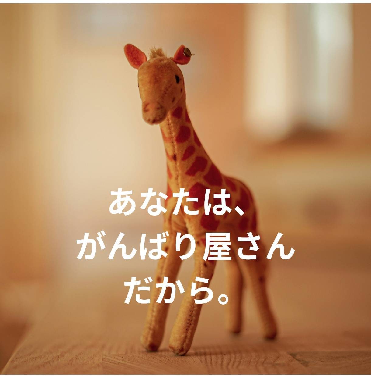 生きづらさを感じるあなたの気持ちをそっとゆるめます 学校や仕事に行けない動けない。そんなあなたの今を肯定する時間 イメージ6