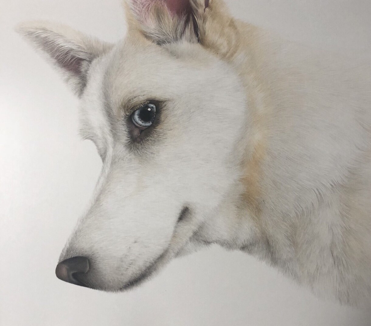 大切な家族とのワンシーンを描きます 溺愛しているペットと飼い主さんに素敵な贈り物を！ イメージ3